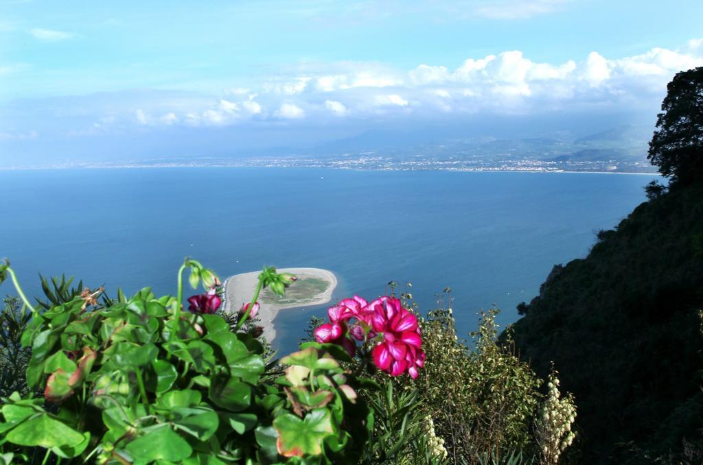 Vacanze Al Mare Patrizia'S Sweet Home 特米维里托 客房 照片